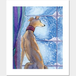 A greyhound dog admires the snowfall from his nice warm seat inside Posters and Art